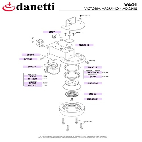 VICTORIA ARDUINO - ADONIS FEJ